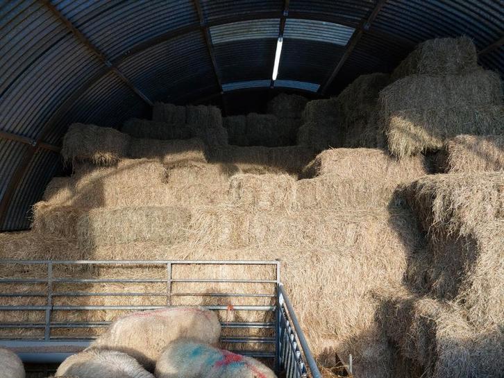 Hooi te koop, Dieren en Toebehoren, Dierenvoeding, Vee, Ophalen of Verzenden