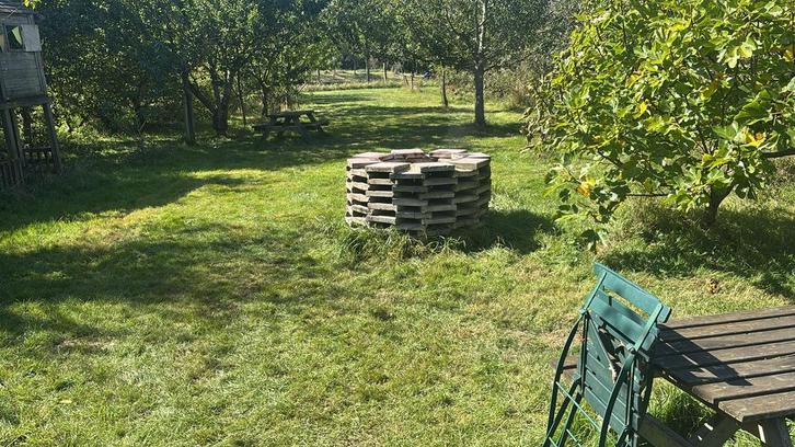 Bijen standplaats aangeboden, Dieren en Toebehoren, Overige Dieren, Geslacht onbekend, Januari