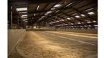 Te huur – Unit deel bestaande uit 10 paardenstallen, Weidegang, 4 paarden of pony's of meer