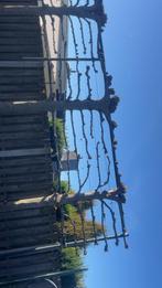 Leiboom - Direct van Tuinman!, Volle zon, Bloeit niet, Leiboom, Ophalen of Verzenden