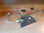 Terrarium voor insecten, mieren en spinnen 30x20x20 cm nieuw