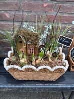 Bloembollen arrangement met decoratie huisje, Ophalen, Bloeit niet, Overige soorten, Halfschaduw