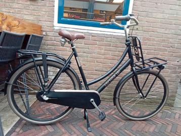 Cortina U4 (61 cm) beschikbaar voor biedingen