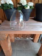 Vazen alles in een koop €17.50, Ophalen, Overige kleuren, Glas, Minder dan 50 cm