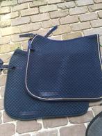 Dressuur sjabrak paard, Dieren en Toebehoren, Ophalen of Verzenden, Gebruikt, Dekje