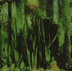 THE PROMISE RING - wood water CD, Ophalen of Verzenden, Gebruikt, Alternative