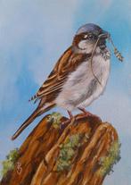 schilderij mus 251 - GRATIS lijst - origineel cadeau - Vogel, Minder dan 50 cm, Oorspronkelijke maker, Nieuw, Ophalen of Verzenden