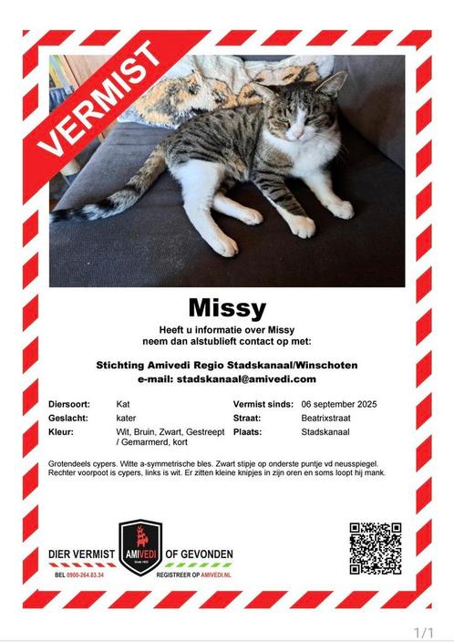 Mijn lieve kat is vanaf zaterdag 6 September vermist, Dieren en Toebehoren, Vermiste en Gevonden Dieren, Kat