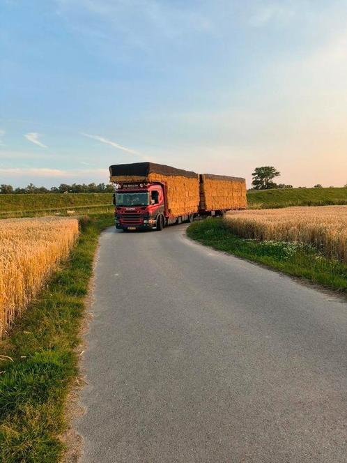 Hooi stro voordroog hooi (  laag suiker, Dieren en Toebehoren, Dierenvoeding, Vee, Ophalen of Verzenden