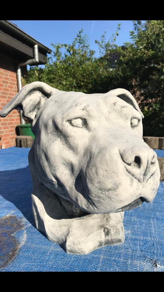 ‼️Amstaff 25kg American Staffordshire Terrier 30cm kop Bully, Ophalen, Nieuw, Beton, Dierenbeeld