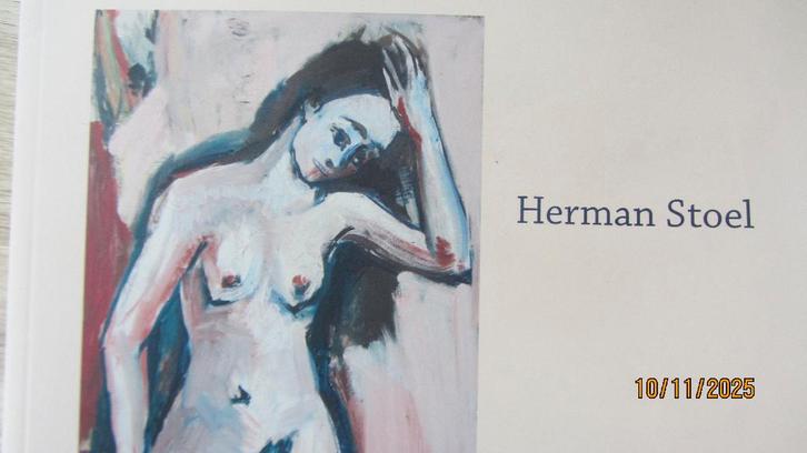Herman Stoel - Ik ben zoals ik schilder, Boeken, Kunst en Cultuur | Beeldend, Zo goed als nieuw, Ophalen of Verzenden