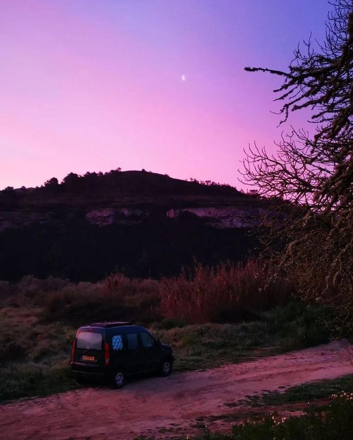 Kangoo 4x4, Auto's, Renault, Bedrijf, Kangoo, 4x4, Airbags, Airconditioning, Benzine, Groen, Voorwielaandrijving, Ophalen