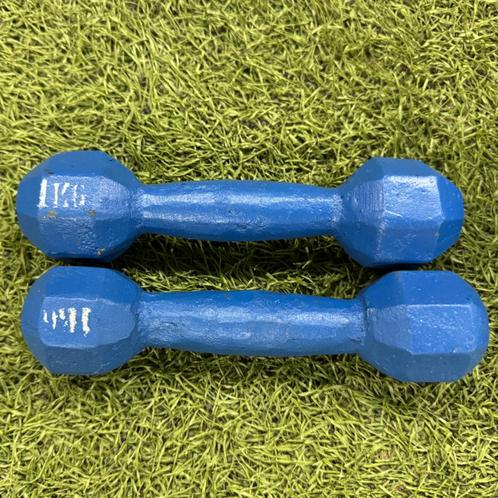 Old school en vintage Neo Hex Dumbbell Paar - 2 x 1 kg, Sport en Fitness, Fitnessmaterialen, Gebruikt, Dumbbell, Armen, Benen