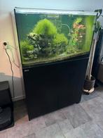 Red Sea Reefer 250, Dieren en Toebehoren, Vissen | Aquaria en Toebehoren, Ophalen, Leeg aquarium