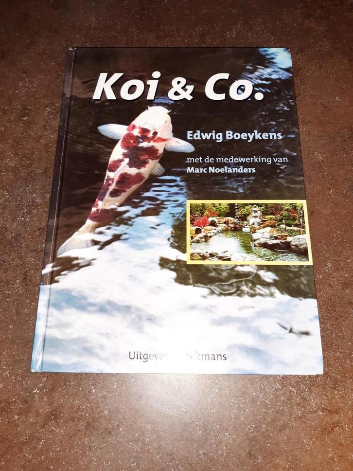 Koi & co Edwig Boeykens, Boeken, Dieren en Huisdieren, Zo goed als nieuw, Katten, Ophalen of Verzenden