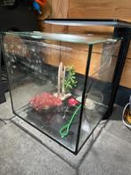 Aquarium superfish 100 compleet, Dieren en Toebehoren, Vissen | Aquaria en Toebehoren, Ophalen, Zo goed als nieuw, Leeg aquarium