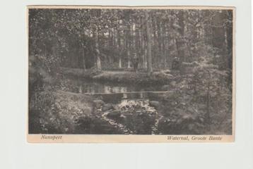 A 08 Nunspeet. Waterval, Groote Bunte beschikbaar voor biedingen