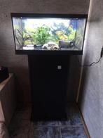 EHEIM Aquarium met kast, Dieren en Toebehoren, Vissen | Aquaria en Toebehoren, Ophalen