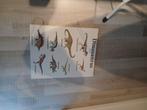 Dinosaurus schilderij, Ophalen, Zo goed als nieuw, Schilderij, Minder dan 50 cm