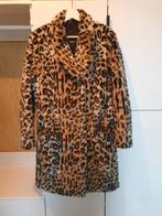 Nep bont jas panterprint maat 40 Rockandblue zgan, Bruin, Zo goed als nieuw, Rockandblue, Ophalen