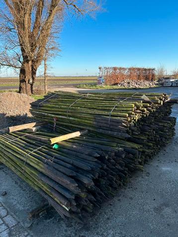 Boompalen  beschikbaar voor biedingen