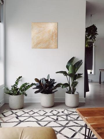 Modern goudkleurig schilderij – 50x50 cm – abstract zonlicht beschikbaar voor biedingen