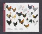 Pluimvee Sabelpootkriel Drentse Hoen Lakenvelder., Ophalen of Verzenden, 1980 tot heden, Ongelopen, Vogel