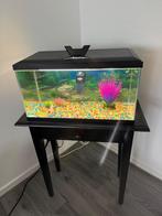 Aquarium, Ophalen, Leeg aquarium