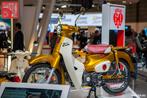 Honda Cub (ss50 dax st50 benly dream cd50 c50), Ophalen of Verzenden, Nieuw, Merk, Speldje of Pin