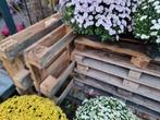 Gratis 10 pallets op te halen, Doe-het-zelf en Verbouw, Hout en Planken, Ophalen of Verzenden, Zo goed als nieuw, Pallet, Minder dan 200 cm