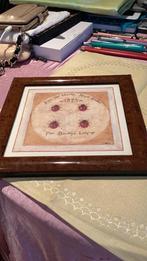 Lijstje met lieveheerbeesjes, Verzenden