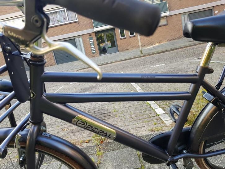 Herenfiets merk popal((vaste prijs)), Fietsen en Brommers, Fietsen | Tandems, Minder dan 10 versnellingen, 55 cm of meer, Ophalen