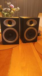 ESI nEar 04 Professionele Studio Monitoren, Audio, Tv en Foto, Luidsprekers, Overige merken, Gebruikt, Ophalen of Verzenden, Minder dan 60 watt