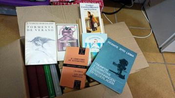 Spaanse leesboeken.  beschikbaar voor biedingen