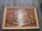groot schilderij met bosomgeving ., Huis en Inrichting, Woonaccessoires | Schilderijen, Tekeningen en Foto's, Gebruikt, 50 tot 75 cm