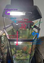 Aquael Hexa set 60l, Ophalen, Zo goed als nieuw, Gevuld zoetwateraquarium