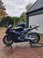 Leuke Honda CBR600rr 2005, Motoren, Sportuitlaat, 4 cilinders, Motorrijbewijs A, Super Sport