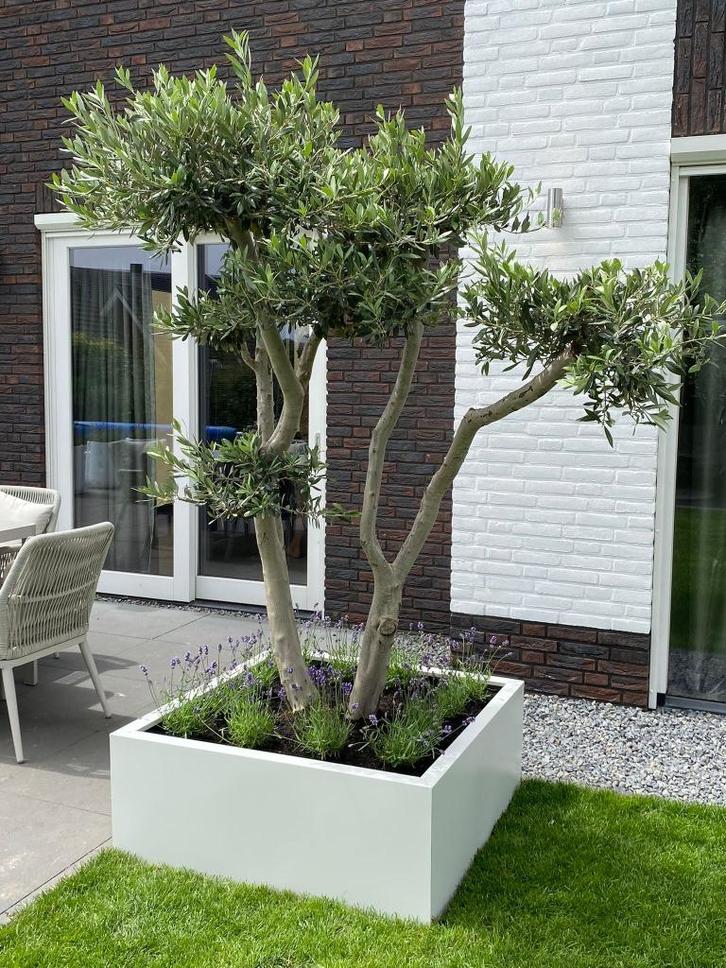 Grote plantenbakken 100X100X40, Tuin en Terras, Bloembakken en Plantenbakken, Nieuw, Metaal, Binnen, Balkon, Tuin, 30 tot 60 cm