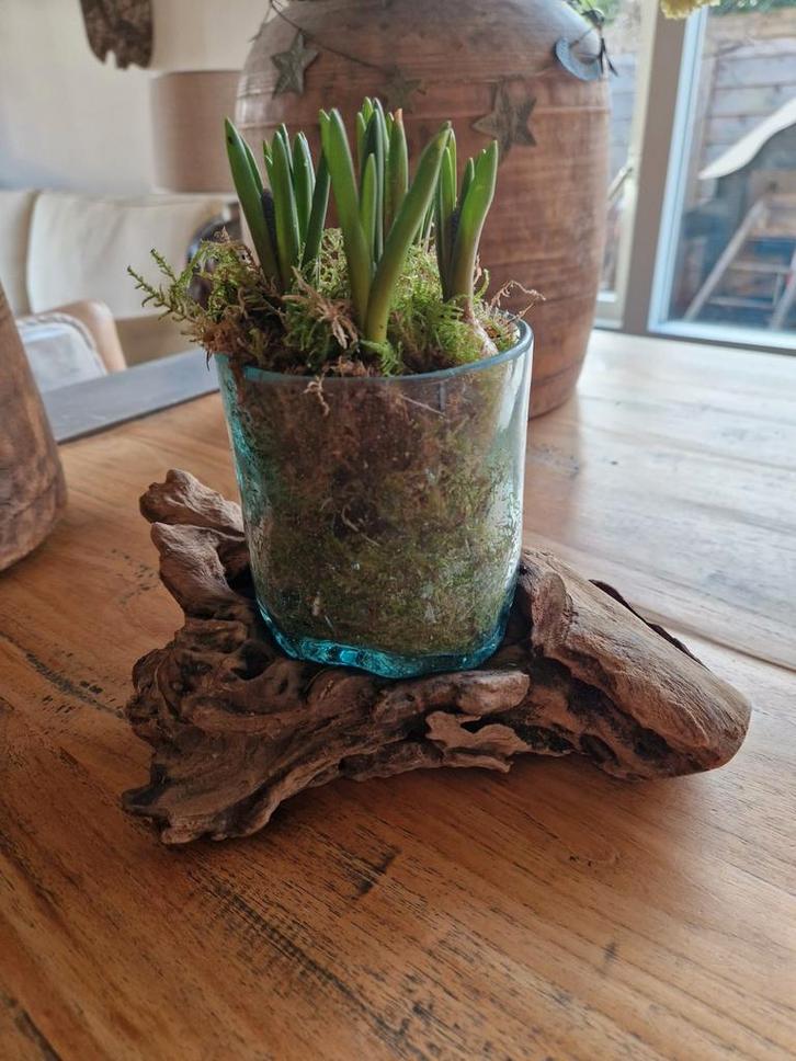 Druppelvaas op boomstronk, Huis en Inrichting, Woonaccessoires | Vazen, Nieuw, Overige kleuren, Minder dan 50 cm, Glas, Ophalen of Verzenden