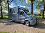 Occasion VW Crafter paardenwagen Pro-Safety hengsten uitvoer, Gebruikt, Overige typen