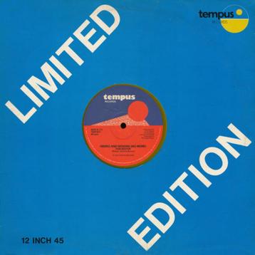  Vinyl, 12" - Pam Nestor ‎– Hiding And Seeking (No More) beschikbaar voor biedingen