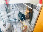 Grote kooi, Dieren en Toebehoren, Vogels | Hokken en Kooien, Ophalen, Zo goed als nieuw, Metaal, Vogelkooi
