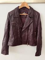 Vintage lederen kort dames jasje Merk: Arma Collection, Maat 38/40 (M), Overige kleuren, Ophalen of Verzenden, Jasje