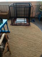 Puppytoilet, Dieren en Toebehoren, Honden-accessoires, Ophalen, Zo goed als nieuw