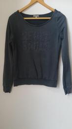 Vest, maat 36, met Rebel Souls opdruk Merk Revelation, Ophalen of Verzenden, Zo goed als nieuw, Maat 36 (S), Grijs