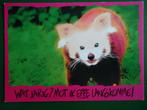 (709) Dierenkaart: WASBEER, Verzamelen, Verzenden, Ongelopen