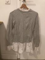 Truitje, Kleding | Dames, Truien en Vesten, Ophalen of Verzenden, Maat 36 (S), Grijs, Gedragen