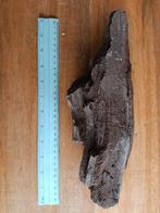 Versteend Hout - Prachtig Decoratief Stuk, Verzamelen, Mineralen en Fossielen, Ophalen