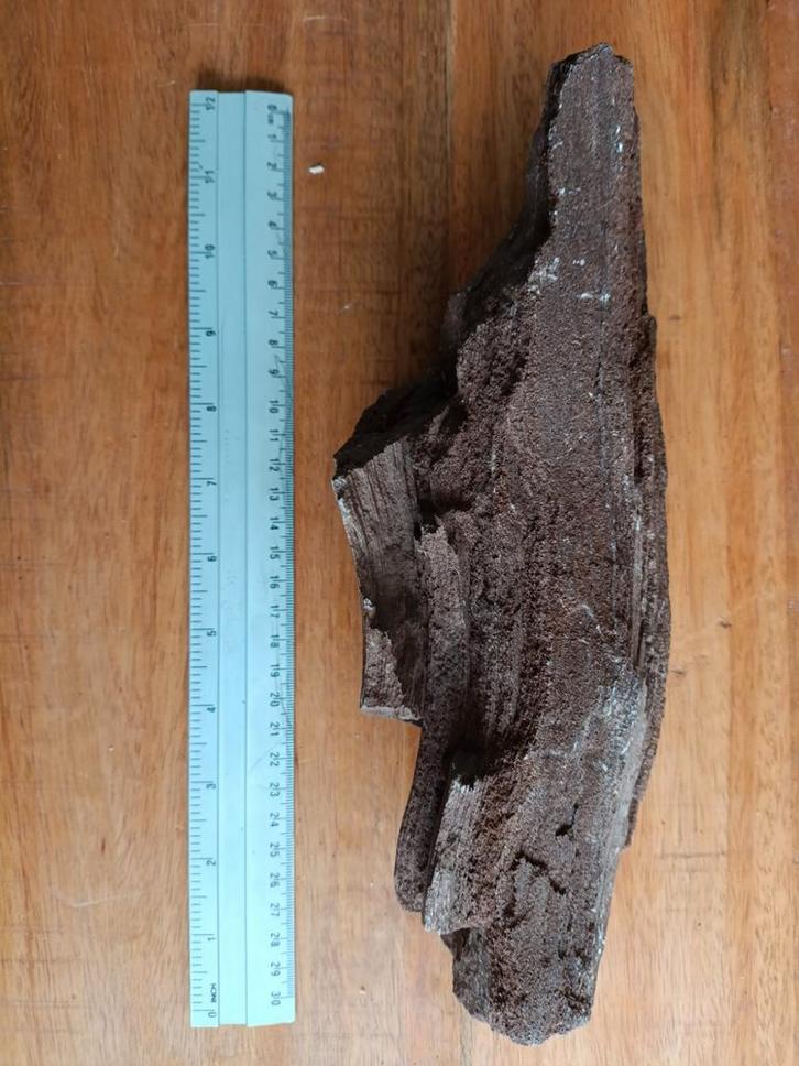 Versteend Hout - Prachtig Decoratief Stuk, Verzamelen, Mineralen en Fossielen, Ophalen