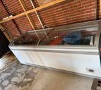 Koelkast  horeca, Witgoed en Apparatuur, Ophalen, Gebruikt, Vrijstaand, 160 cm of meer